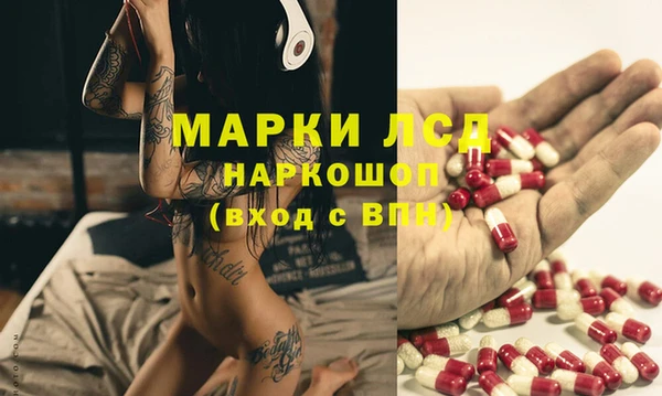 прущие грибы Алексеевка