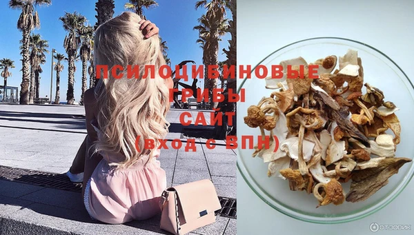 прущие грибы Алексеевка